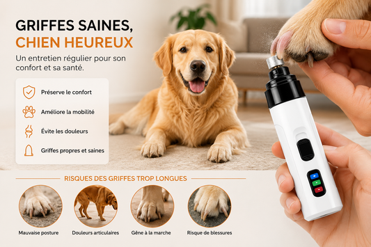 Pourquoi les griffes longues peuvent nuire à votre chien ?