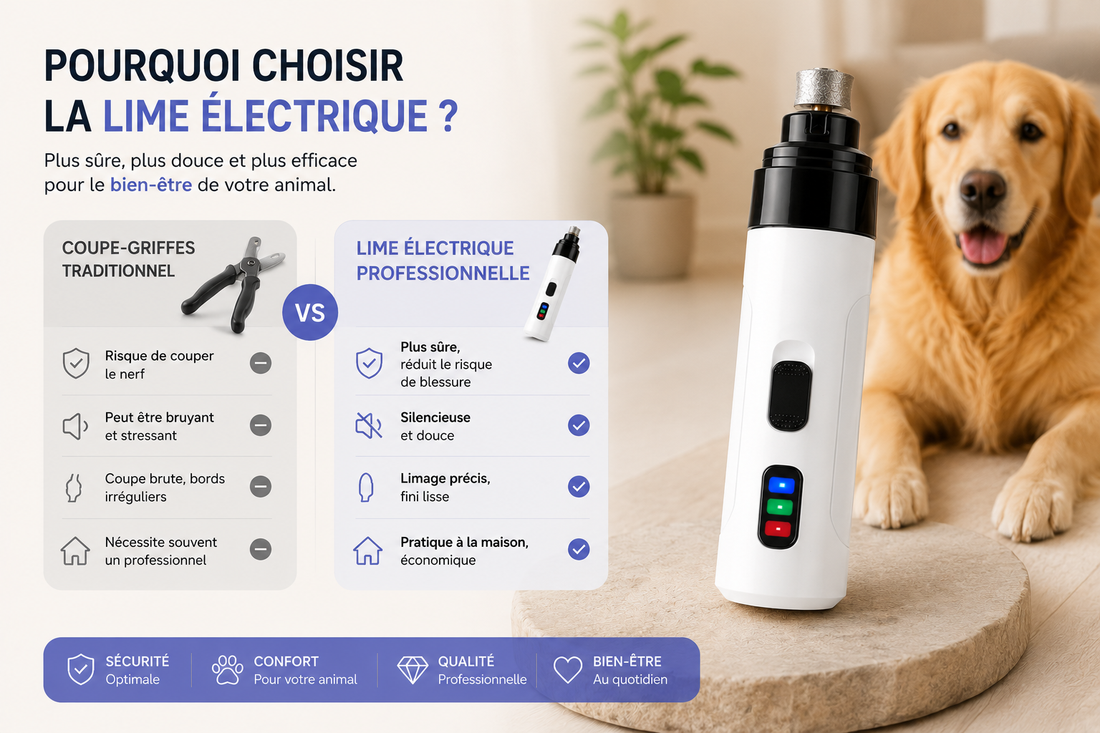 Pourquoi de plus en plus de propriétaires choisissent la lime électrique
