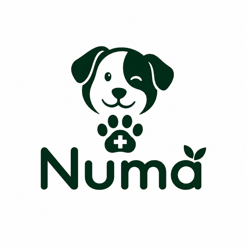 Numa
