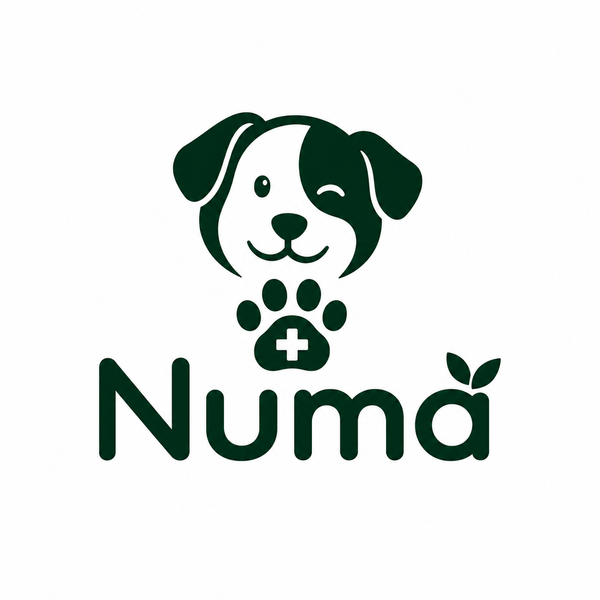 Numa